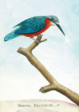 Carnet Lign??Martin P??heur, Dessin 18e Si??le