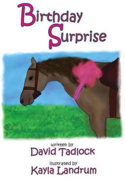 Birthday Surprise Birthday Surprise