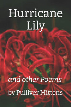 Hurricane Lily: and other Poems