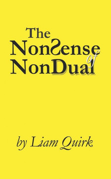 The NonSense of NonDual: From Mindfulness to Oneness