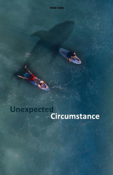 Unexpected Circumstance : Stufe B2 Zweisprachig Mit Englisch-Deutscher Übersetzung, Audiodateien Inklusive