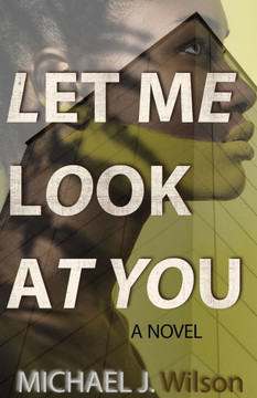 Let Me Look at You