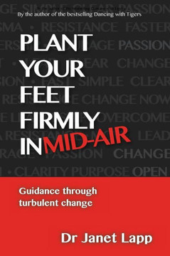 Plant your Feet Firmly in Mid-Air: Leading through turbulent change