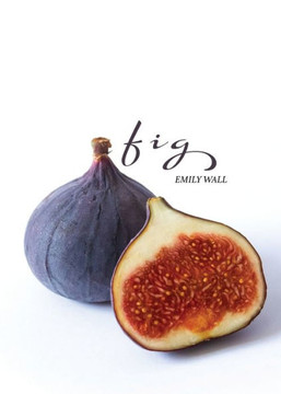 Fig Fig