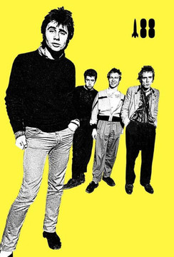I Was a Teenage Sex Pistol