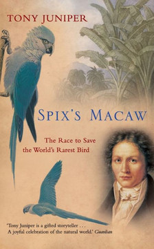 Spix's Macaw: The Race to Save the World's Rarest Bird