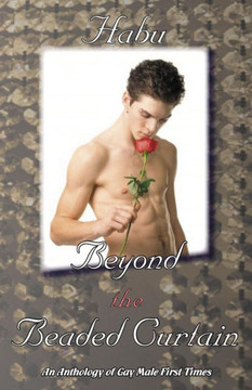 Beyond the Beaded Curtain: An Anthology of Gay First Times