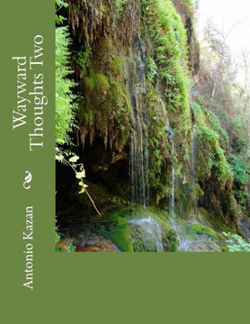Wayward Thoughts Two (Thought Series)