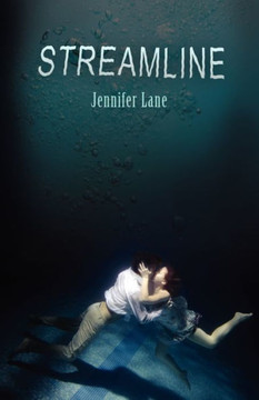 Streamline Streamline