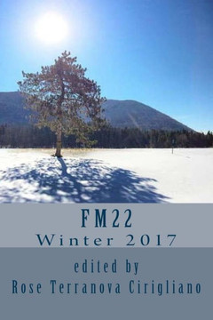 FM22: Winter 2017