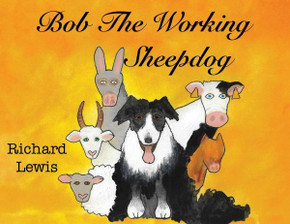 BOB the Working sheep dog!