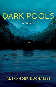 Dark Pools