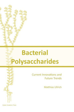 Bacterial Polysaccharides: Current Innovations and Future Trends