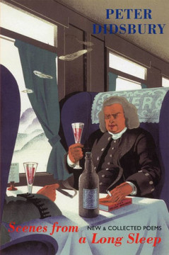 Scenes from a Long Sleep: New & Collected Poems