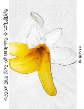 In Bloom [Line Drawing]: Color The Art Of Nature + Wildlife