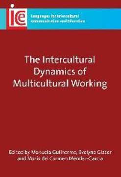 The Intercultural Dynamics of Multicultural Working, 19
