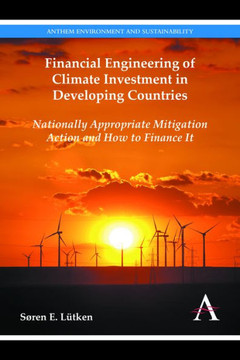 Financial Engineering of Climate Investment in Developing Countries: Nationally Appropriate Mitigation Action and How to Finance It