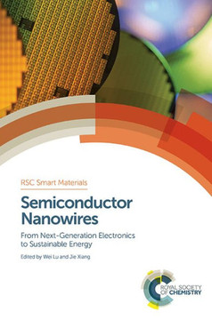 Semiconductor Nanowires: From Next-Generation Electronics to Sustainable Energy
