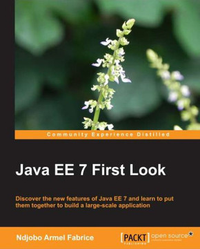 Java Ee 7 First Look