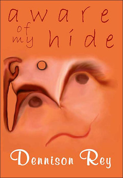 Aware of My Hide