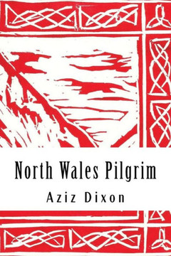North Wales Pilgrim: a poetic journey: reflections on a pilgrimage from Holywell to Bardsey