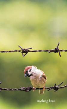 Anything Book: Bird On A Wire