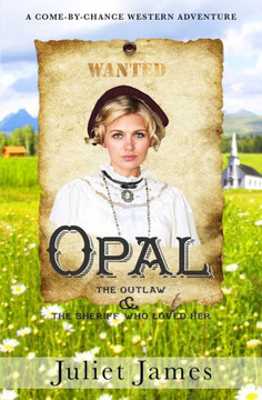 Opal - The Outlaw and the Sheriff Who Loved Her: Montana Western Romance