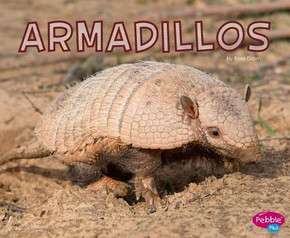 Armadillos Armadillos