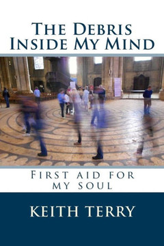 The debris inside my mind: The debris inside my mind
