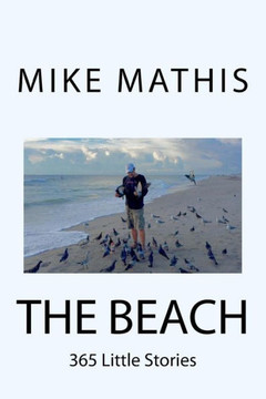 The Beach: 365 Little Stories