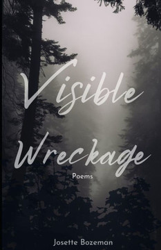 Visible Wreckage: Poems