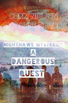 Nighthawk Mysteries: A Dangerous Quest