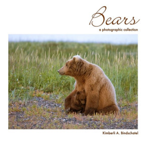 Bears: A Photographic Collection