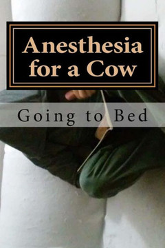 Anesthesia for a Cow: Going to Bed