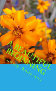 A Beautiful Beginning