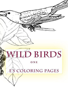 WILD BIRDS one