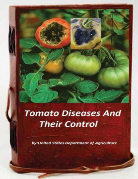 Tomato Diseases And Their Control