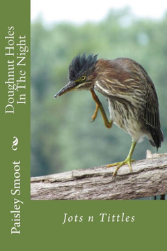 Doughnut Holes In The Night: Jots N Tittles