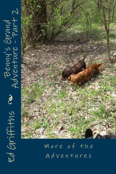 Benny's Grand Adventure - Part 2: More of the Adventures