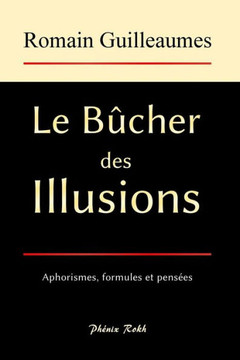 Le Bûcher Des Illusions: Nouvelle Édition (French Edition)