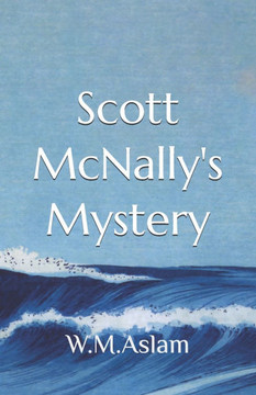 Scott McNally's Mystery