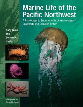 Marine Life of the Pacific Northwest: A Photographic Encyclopedia of Invertebrates, Seaweeds and Selected Fishes