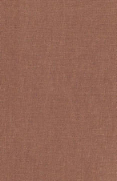 History of Louisiana: The American Domination