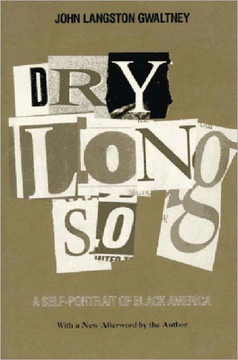 Drylongso: A Self-Portrait of Black America