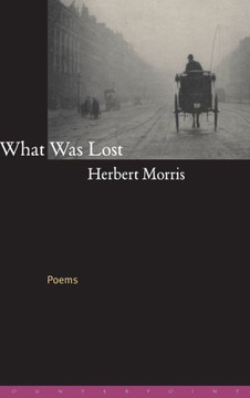What Was Lost: Poems
