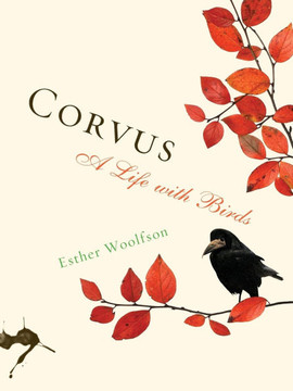 Corvus: A Life with Birds