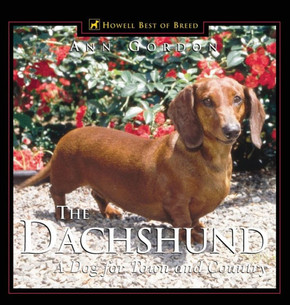 The Dachshund: A Dog for Town and Country