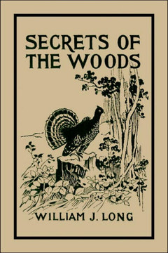 Secrets of the Woods (Yesterday's Classics)