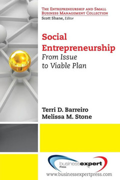 Social Entrepreneurship: From Issue to Viable Plan