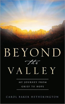 Beyond the Valley